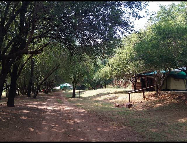 17.10HA FARM FOR SALE IN ZOUTPANSDRIFT AH